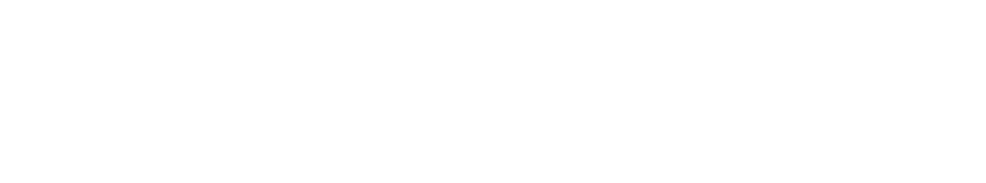dsn-docupro-dealership-software-logo-2