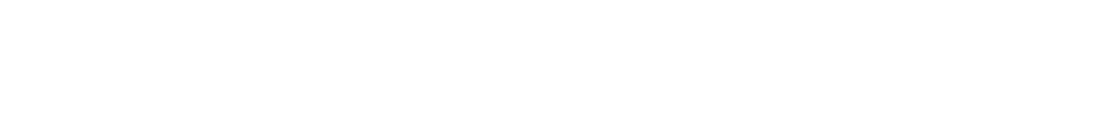 dsn-pro-services-dealership-software-logo-1
