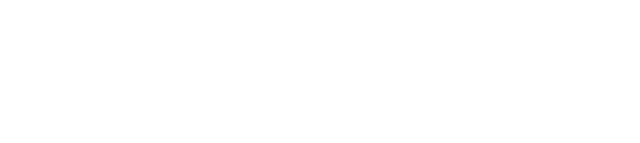 dsn-recpro-dealership-software-logo-2